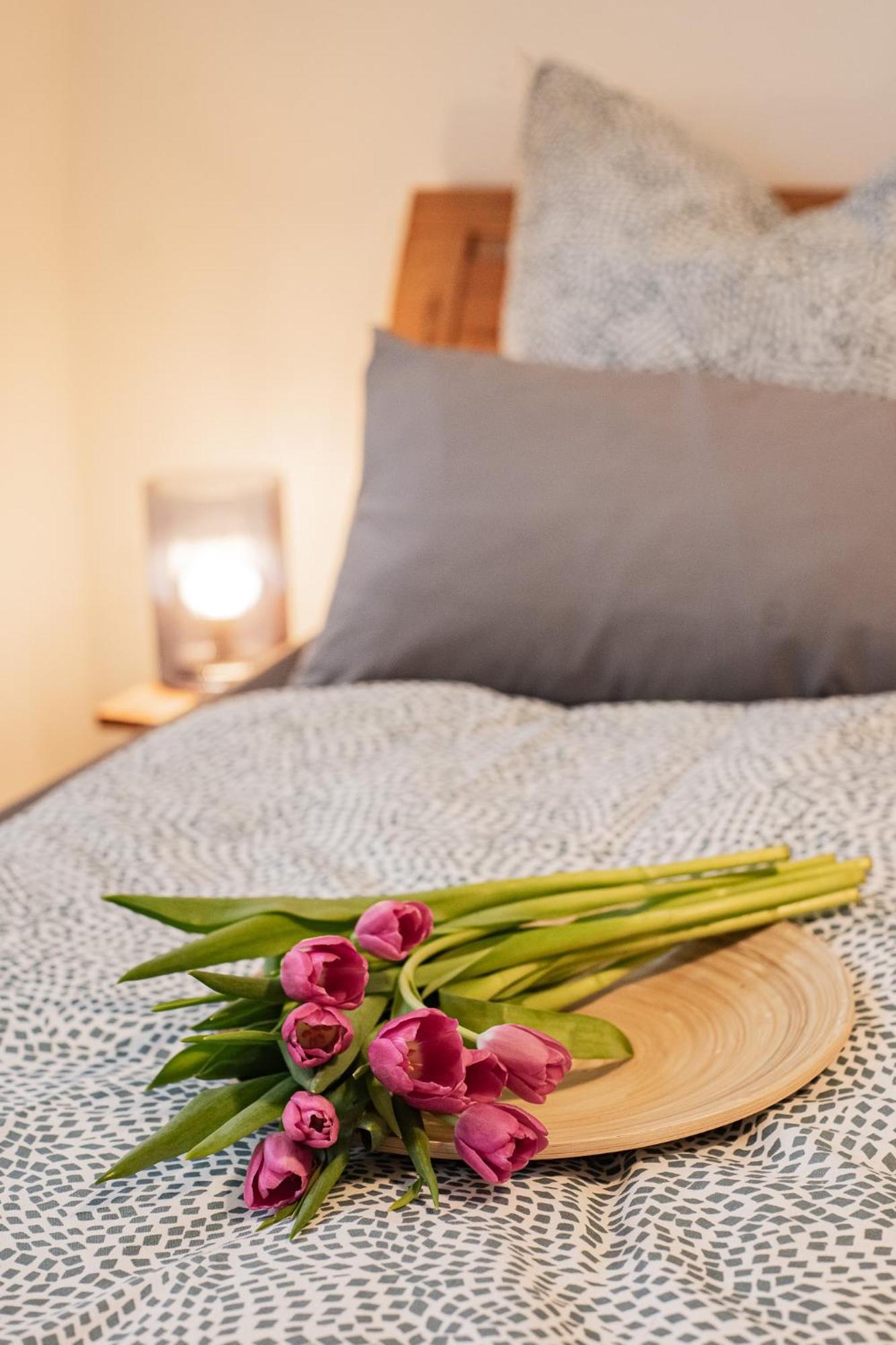 Holly Gmbh Ferienwohnungen Bad Alexandersbad Buitenkant foto